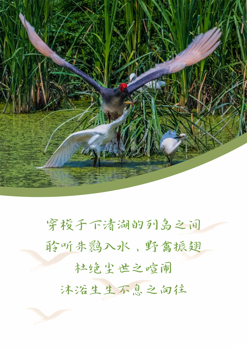 心心念廿 相伴开云kaiyun | 与德清相约 贺廿载诞辰